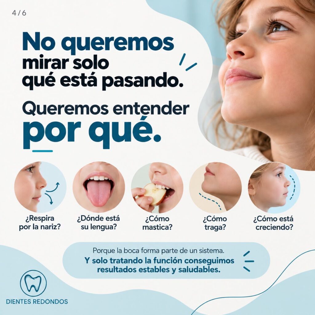 odontologia-biofuncional-dientes-redondos